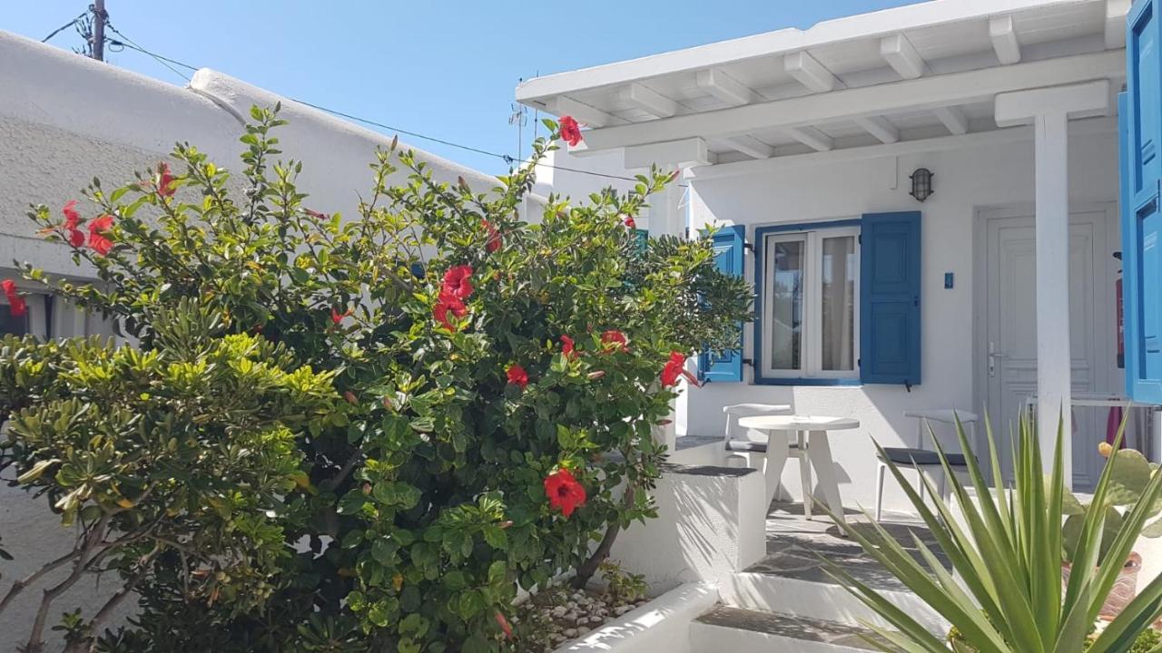 Gelos House Ornos  Exterior photo